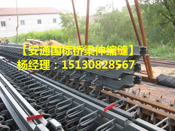 公路橋梁伸縮縫裝置GQF-D80毛勒伸縮縫