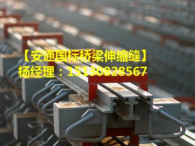 公路橋梁伸縮縫裝置GQF-D80毛勒伸縮縫