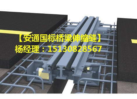 公路橋梁伸縮縫裝置GQF-D80毛勒伸縮縫