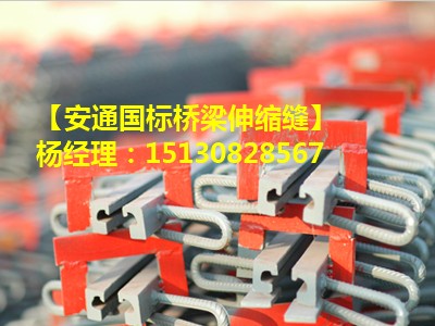 公路橋梁伸縮縫裝置GQF-D80毛勒伸縮縫