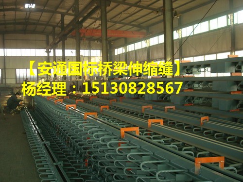 公路橋梁伸縮縫裝置GQF-D80毛勒伸縮縫