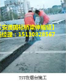 TST橋梁伸縮接縫彈塑體 *標(biāo)TST無縫伸縮縫廠家
