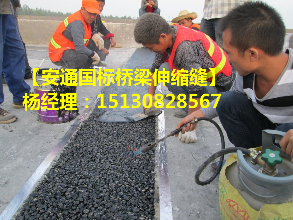 TST橋梁伸縮接縫彈塑體 *標(biāo)TST無縫伸縮縫廠家