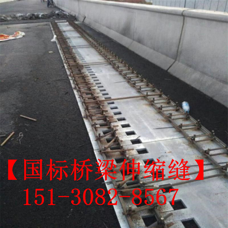 SF梳齒型橋梁伸縮縫 良品*標(biāo)**五防伸縮縫