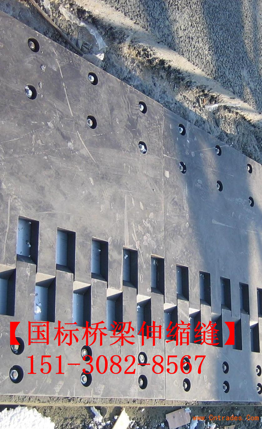 SF梳齒型橋梁伸縮縫 良品*標(biāo)**五防伸縮縫