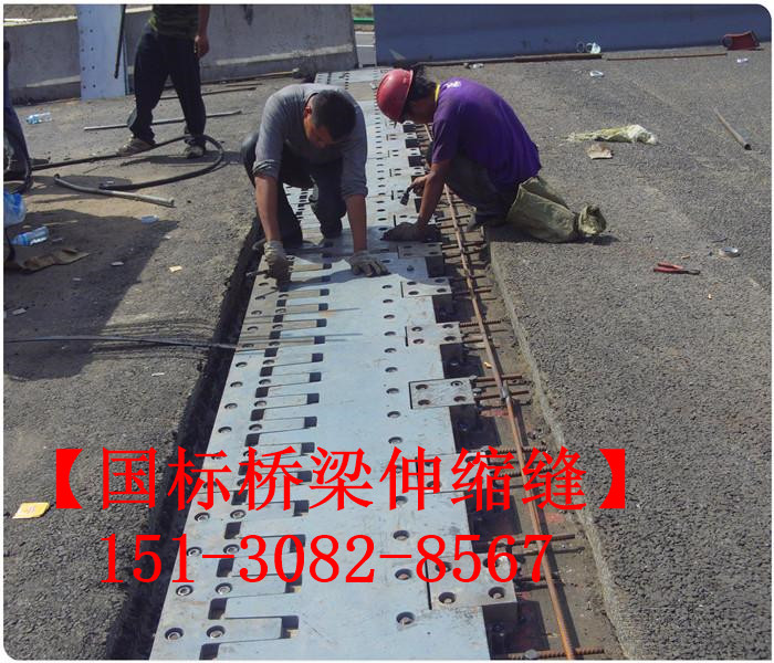 SF梳齒型橋梁伸縮縫 良品*標(biāo)**五防伸縮縫