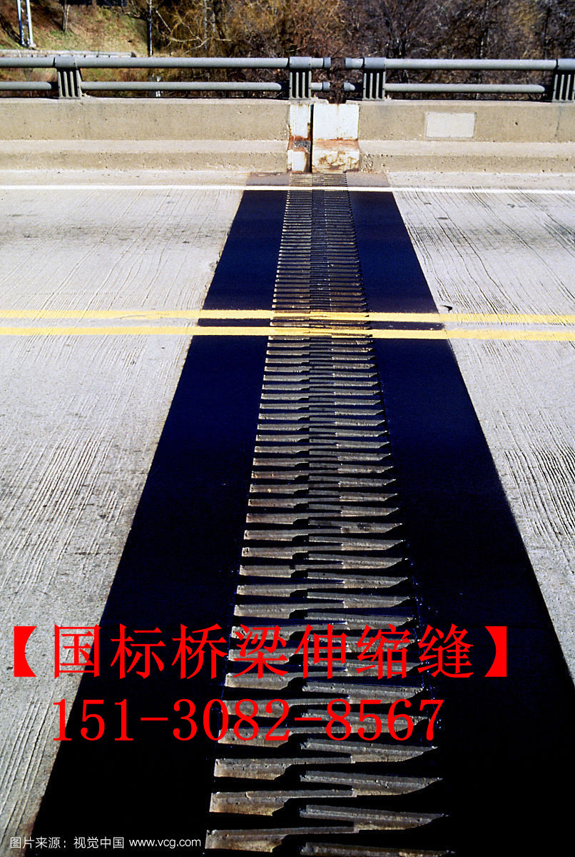 SF梳齒型橋梁伸縮縫 良品*標(biāo)**五防伸縮縫