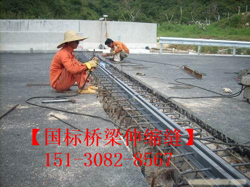 良品淺埋式橋梁伸縮縫裝置 *標(biāo)橋梁伸縮縫廠(chǎng)家