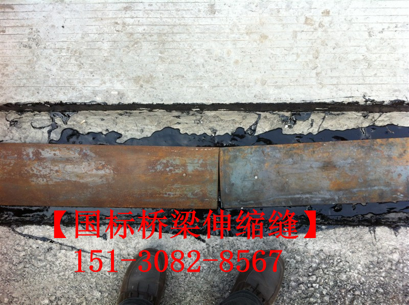 TST橋梁伸縮接縫彈塑體 *標(biāo)TST無縫伸縮縫廠家