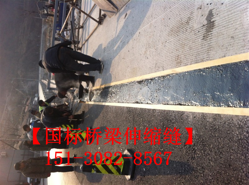 TST橋梁伸縮接縫彈塑體 *標(biāo)TST無縫伸縮縫廠家