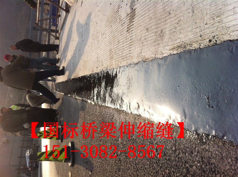 TST橋梁伸縮接縫彈塑體 *標(biāo)TST無縫伸縮縫廠家