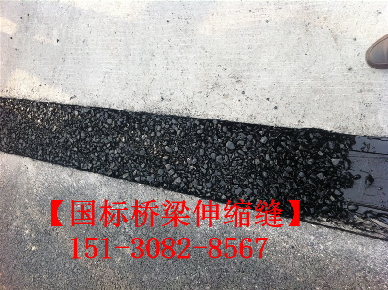 TST橋梁伸縮接縫彈塑體 *標(biāo)TST無縫伸縮縫廠家