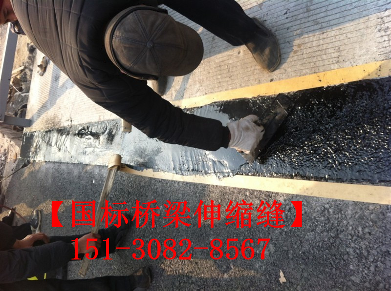 TST橋梁伸縮接縫彈塑體 *標(biāo)TST無縫伸縮縫廠家