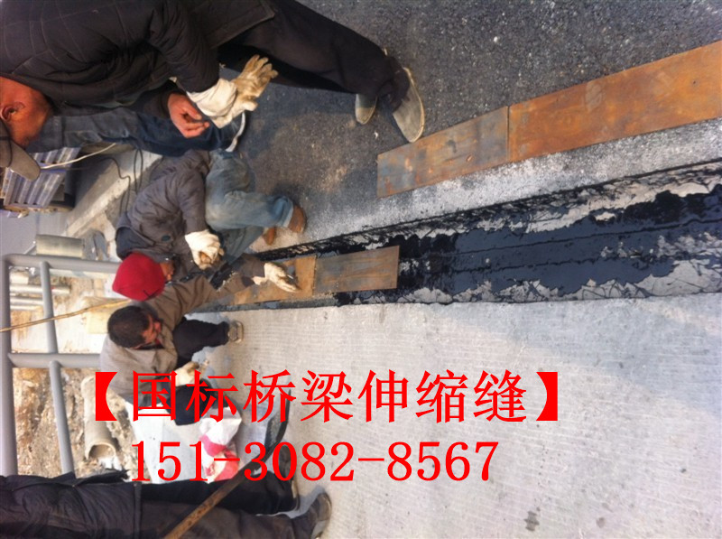 TST橋梁伸縮接縫彈塑體 *標(biāo)TST無縫伸縮縫廠家