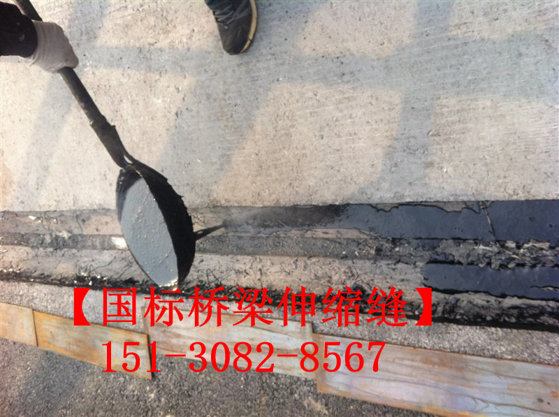 TST橋梁伸縮接縫彈塑體 *標(biāo)TST無縫伸縮縫廠家