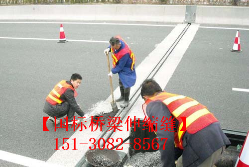 橋梁伸縮縫裝置的安裝施工養(yǎng)護(hù)養(yǎng)生流程