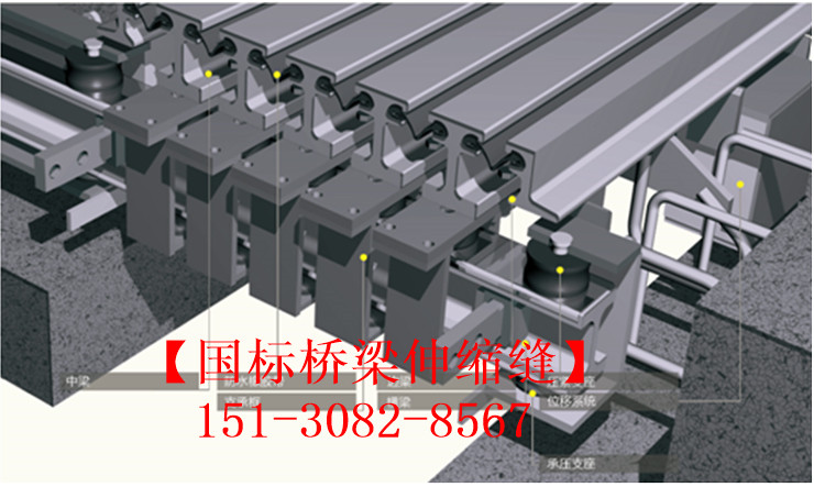多組式橋梁伸縮縫 良品*標(biāo)**橋梁伸縮縫裝置