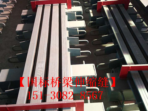 多組式橋梁伸縮縫 良品*標(biāo)**橋梁伸縮縫裝置