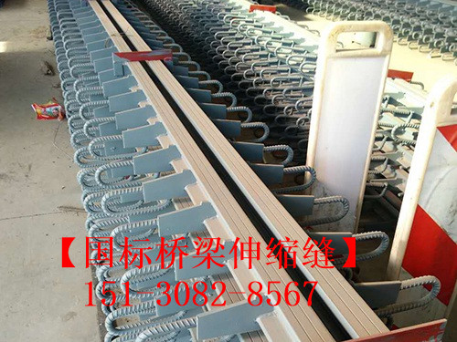 良品淺埋式橋梁伸縮縫裝置 *標(biāo)橋梁伸縮縫廠(chǎng)家