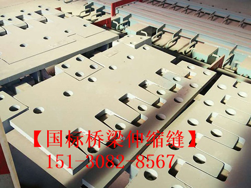 SF梳齒型橋梁伸縮縫 良品*標(biāo)**五防伸縮縫