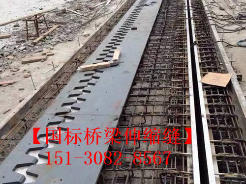 SF梳齒型橋梁伸縮縫 良品*標(biāo)**五防伸縮縫