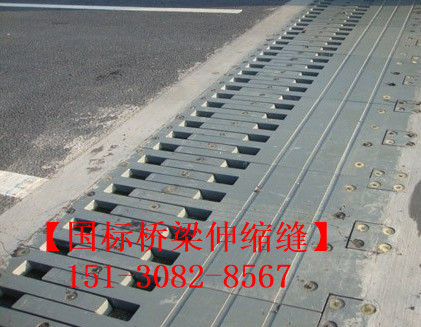 鋼板梳齒型伸縮縫裝置 良品*標(biāo)梳齒板伸縮縫