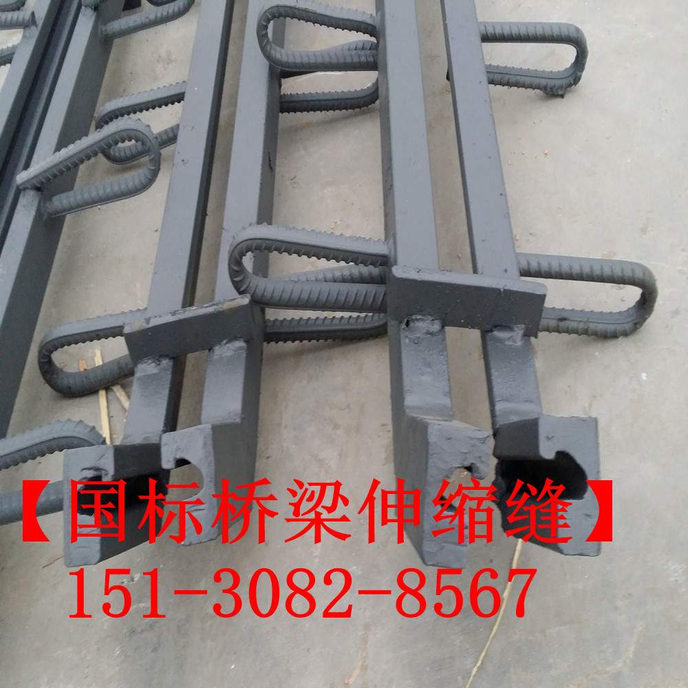 XF橋梁伸縮縫 良品單組式橋梁伸縮縫裝置廠家