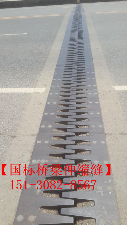 SF梳齒型橋梁伸縮縫 良品*標(biāo)**五防伸縮縫