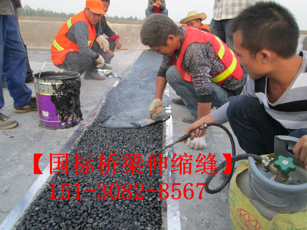 良品橋梁伸縮縫施工工藝維修養(yǎng)護準則