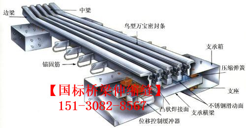 橋梁伸縮縫簡介 橋梁伸縮縫裝置原廠直供