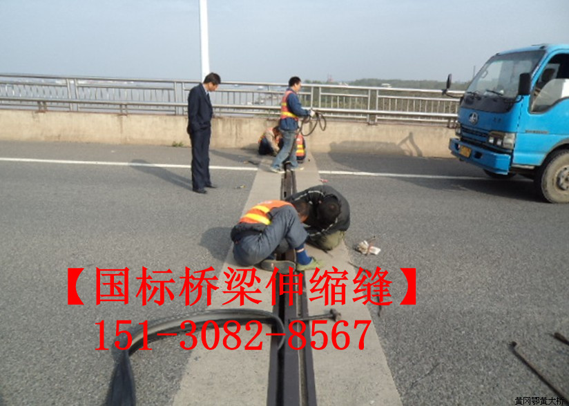 GQF-MZL160型橋梁伸縮縫 *標(biāo)模數(shù)橋梁伸縮縫