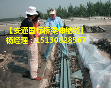 160型伸縮縫SGF120型橋梁伸縮縫認(rèn)準(zhǔn)良品1
