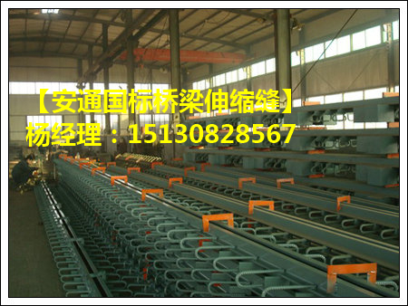 *標型鋼橋梁伸縮縫裝置現(xiàn)貨 單縫、多縫伸縮縫1