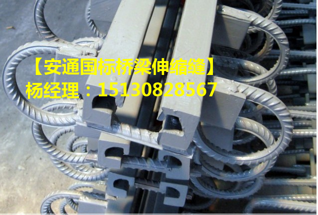 GQF-MZL模數(shù)式橋梁伸縮縫的物理性能特點1