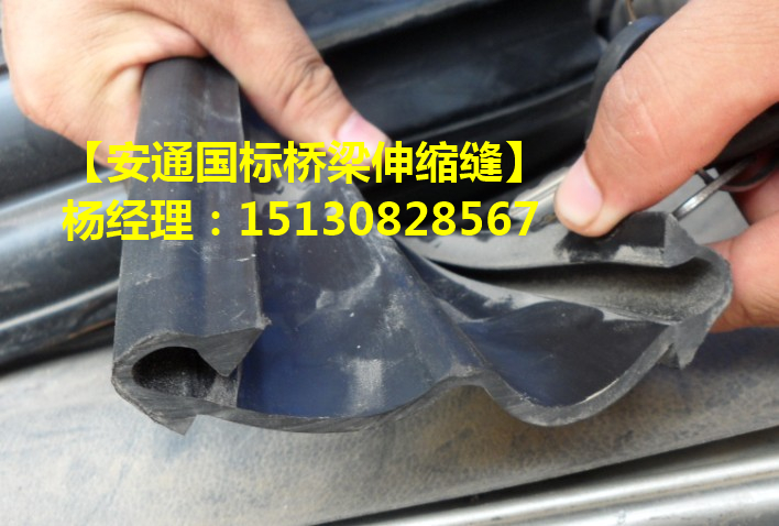 良品多組式橋梁伸縮縫裝置廠家 模數(shù)式伸縮縫1