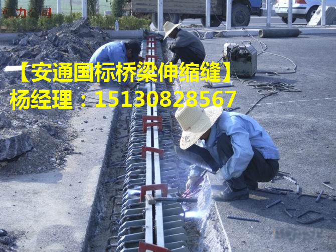 橋梁伸縮縫 良品各種型號橋梁伸縮縫裝置簡介2