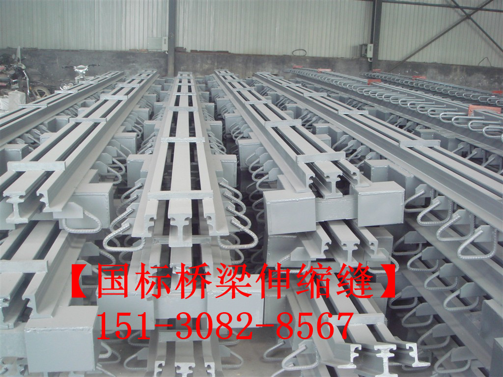 GQF-MZL型數(shù)模式橋梁伸縮縫裝置 模數(shù)式伸縮縫3