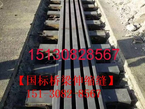 路橋?qū)Ｓ脴蛄荷炜s縫裝置TST、型鋼伸縮縫、模數(shù)式伸縮縫圖集151-3082-8567