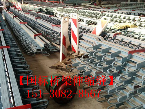 模數(shù)式毛勒橋梁伸縮縫 TST無縫伸縮縫廠家施工現(xiàn)場151-3082-8567
