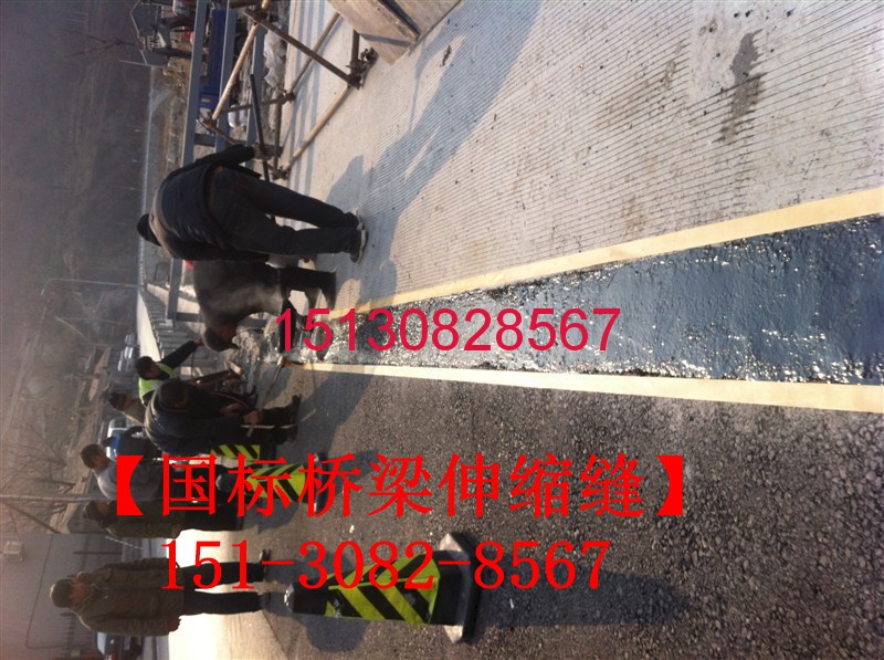 路橋?qū)Ｓ脴蛄荷炜s縫裝置TST、型鋼伸縮縫、模數(shù)式伸縮縫圖集151-3082-8567