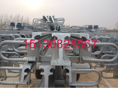 F60型伸縮縫安裝 D60型橋梁伸縮縫  D160模數(shù)伸縮縫選151-3082-8567