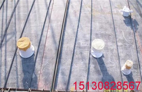 *標管道預埋套管 *標pvc止水節(jié) *標pvc止水節(jié)管帽保護蓋批發(fā)19